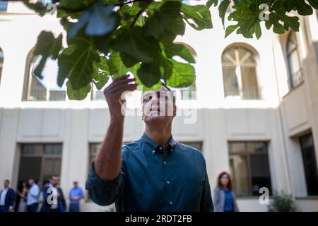 Madrid, Espagne. 23 juillet 2023. Pedro Sánchez, président du gouvernement espagnol et secrétaire général du Parti socialiste (PSOE), touche les feuilles d'un figuier après avoir voté aux élections législatives espagnoles, au Colegio de Nuestra Señora del Buen Consejo, à Madrid. Crédit : SOPA Images Limited/Alamy Live News Banque D'Images