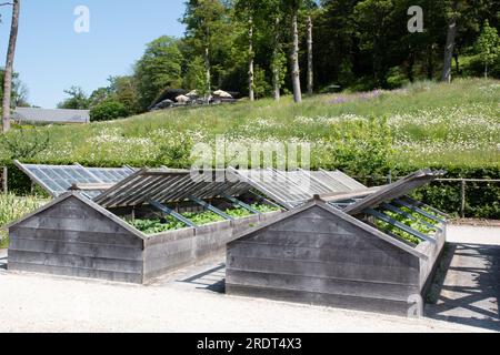 Cadres froids en bois dur dans le potager du Newt Somerset Banque D'Images