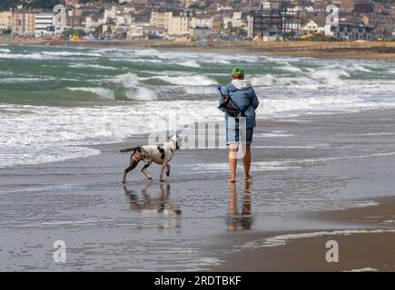 jeune femme marchant chien sur la plage Banque D'Images