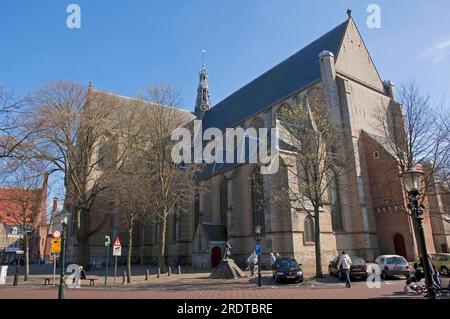 Great St. Église Laurens, Alkmaar, pays-Bas Banque D'Images