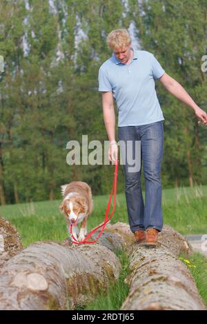 Homme avec Berger australien en laisse équilibrant sur le tronc d'arbre, en laisse Banque D'Images