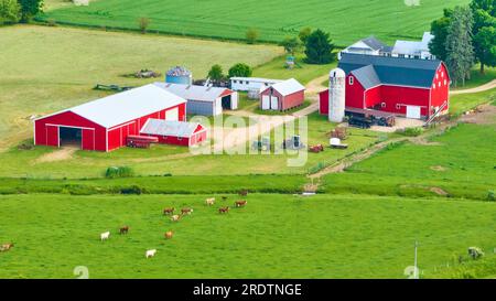 Terres agricoles aériennes avec des vaches paissant dans des pâturages verts et grange rouge et écurie rouge Banque D'Images