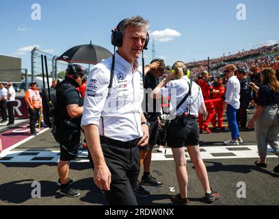 Budapest, Hongrie. 23 juillet 2023. James Allison (GBR, Mercedes-AMG Petronas F1 Team), Grand Prix de F1 de Hongrie à Hungaroring le 23 juillet 2023 à Budapest, Hongrie. (Photo de HIGH TWO) crédit : dpa/Alamy Live News Banque D'Images