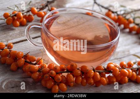 Tasse avec thé d'argousier (Hippophae rhamnoides) Banque D'Images