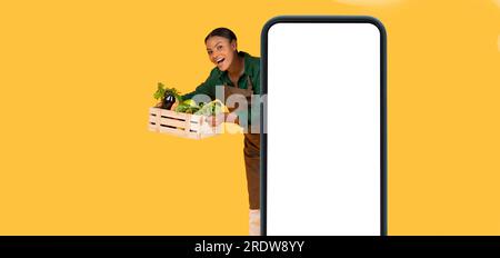 Femme fermière noire derrière smartphone tenant la boîte de légumes, fond jaune Banque D'Images