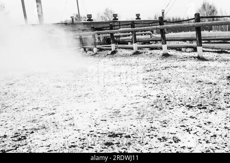 Râtelier à tuyaux avec tuyaux dans la vapeur haute pression surchauffée dans une usine chimique pétrochimique de raffinerie de pétrole. Banque D'Images