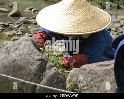 Jardinage soigné à Kenrokuen : une femme japonaise portant un chapeau de paille conique désherbe entre les rochers dans le jardin le plus célèbre du Japon. Banque D'Images