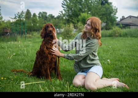 Red Irish Setter processus de formation en extérieur. Belle blonde souriante bonne jeune femme en short denim sont assis au verre et l'entraînement d'un mignon samoyed Banque D'Images