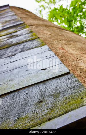 Planches texturées en bois foncé avec mousse verte et moisissure poussant sur le mur de la tour d'argile Banque D'Images