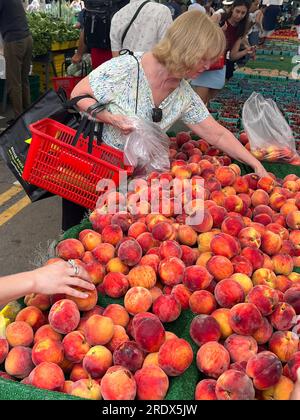 Femme achète des pêches fraîches au Grand Army Plaza Farmers zMarket dans le quartier Park Slope de zBrooklyn, New York. Banque D'Images