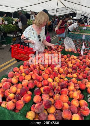 Femme achète des pêches fraîches au Grand Army Plaza Farmers zMarket dans le quartier Park Slope de zBrooklyn, New York. Banque D'Images