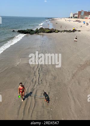 Femme marche le long de la plage par l'océan Atlantique avec son chien à Coney Island le matin à Brooklyn, New York. Banque D'Images