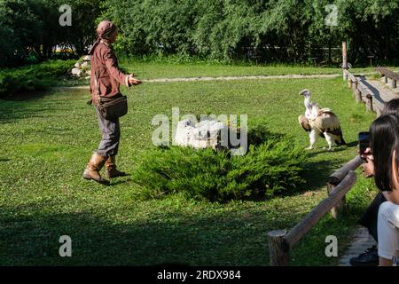 Kazakhstan, Almaty. Sunkar Falcon Center montrer le comportement de Vautour. Banque D'Images