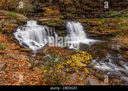 Cayuga Falls en automne, Ricketts Glen State Park, Pennsylvanie Banque D'Images