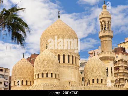 La ville d'Alexandrie est située sur la côte méditerranéenne nord de l'Egypte, à l'ouest du delta du Nil. Fondée vers 331 av. J.-C. par Alexandre le Banque D'Images