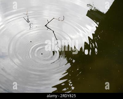 Sous un pont de chemin de fer abandonné sur la Tamise à Kennington, une vision de la beauté abstraite des reflets et des ondulations. Banque D'Images