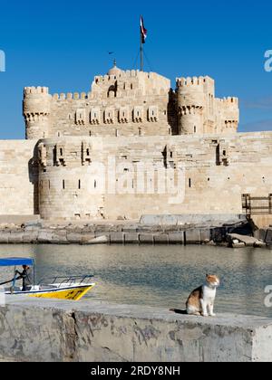 Située sur la pointe nord de l'île Pharos, à l'embouchure du port est d'Alexandrie, la Citadelle de Qaitbay est une forteresse défensive du 15e siècle Banque D'Images