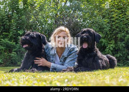 Femme adulte pose avec deux chiens Big Schnauzer dehors. Horizontalement. Banque D'Images