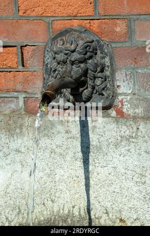Fontaine de lion en pierre avec de l'eau qui coule contre un mur de briques à la lumière du jour Banque D'Images