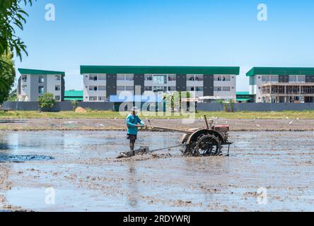 Agriculteur labourant le sol dans un champ de riz près du dortoir. Agriculture autour de la communauté. Banque D'Images