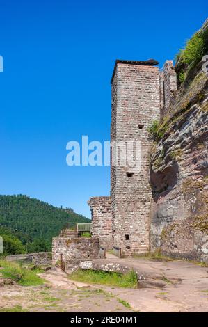 Donjon des ruines du château de Fleckenstein, Lembach, Alsace, France, Europe Banque D'Images