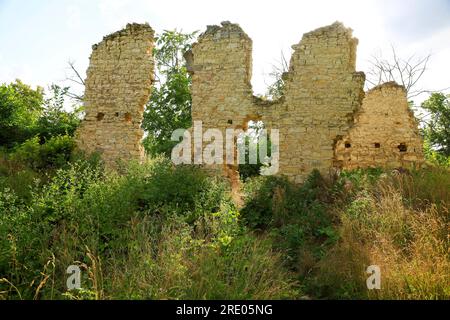 Ruines du château de Pravda dans le village de Pnetluky, cible touristique et lieu de rencontres et de festivals dans la région d'Usti nad Labem, République tchèque, 6 juillet 2 Banque D'Images