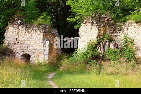 Ruines du château de Pravda dans le village de Pnetluky, cible touristique et lieu de rencontres et de festivals dans la région d'Usti nad Labem, République tchèque, 6 juillet 2 Banque D'Images