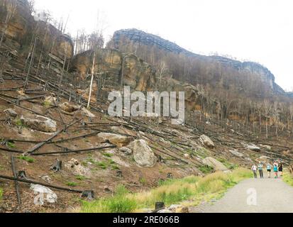 Un site de brûlage après le grand incendie de l'année dernière dans le parc national de Suisse tchèque, Hrensko, République tchèque, le 5 juillet 2023. (Photo CTK/Jan Rychetsky) Banque D'Images