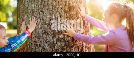 Les mains des enfants touchant le tronc d'arbre dans le parc naturel. Banque D'Images