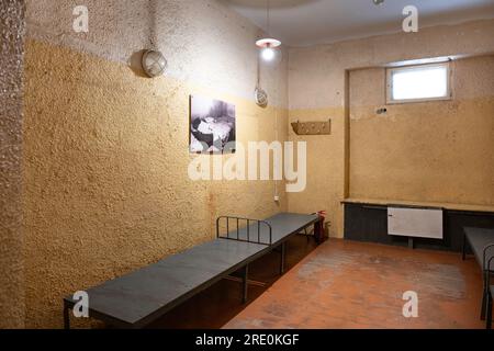 Intérieur du musée KGB dans le Corner House. Cellule pour plusieurs prisonniers. Les lits sont en métal sans matelas Banque D'Images