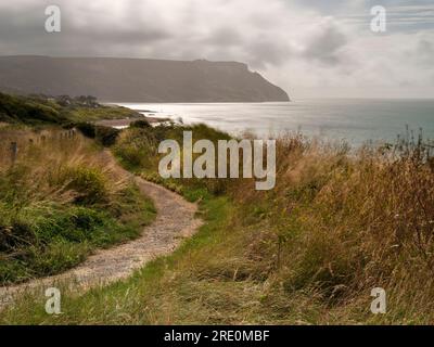 Le chemin de la côte Jurassique près d'Osmington Mills regardant vers West Lulworth dans le Dorset. Banque D'Images