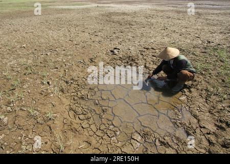 (230724) -- PÉKIN, 24 juillet 2023 (Xinhua) -- Un homme nettoie sa faucille dans une flaque d'eau sur le lit sec du réservoir d'eau de Botok dans le district de Sragen, Java central, Indonésie, le 11 juillet 2023. (Photo de Bram Selo/Xinhua) Banque D'Images