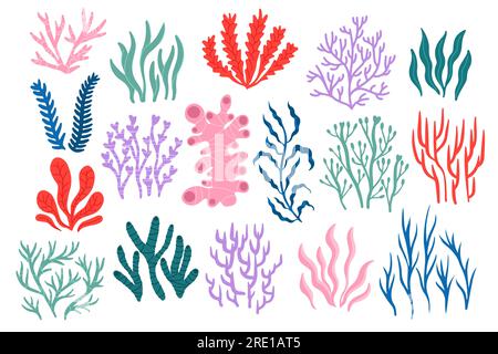 Coraux marins. Flore et faune sous-marines tropicales, collection colorée de récifs coralliens de diverses formes, toile de fond botanique marine exotique pour la conception d'autocollants Illustration de Vecteur