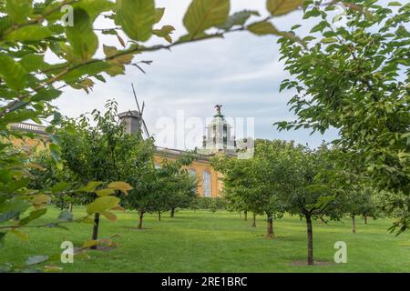 Potsdam, Allemagne. 24 juillet 2021. Moulin à vent historique au Palais de Sanssouci à Potsdam. Banque D'Images