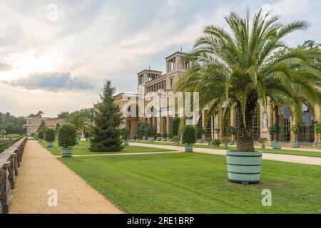 Potsdam, Allemagne. 24 juillet 2021. Le Palais de l'Orangerie à Potsdam, en Allemagne, orné de palmiers un après-midi ensoleillé dans le parc de Sanssouci Banque D'Images