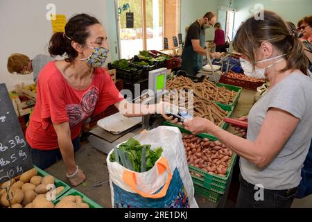 Ferme Dumesnil (nord de la France) : paiement sans contact par carte bancaire sur un marché agricole. Précautions de santé, gestes barrières avec gants et masques Banque D'Images