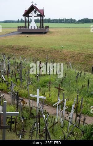 Croix sur la colline des croix, un lieu de pèlerinage au nord de la ville de Šiauliai, dans le nord de la Lituanie avec la chapelle en arrière-plan (flou) Banque D'Images