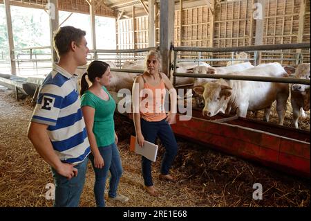 Visite d’un comptable agréé à la ferme d’un jeune couple. Comptable agréé et quelques jeunes agriculteurs visitant la ferme, regardant l'équipement Banque D'Images