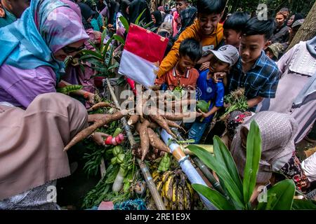 Bogor, Indonésie. 23 juillet 2023. Les résidents ramassent des ingrédients alimentaires, des légumes et des fruits pendant la tradition de l'aumône terrestre à Bogor, Java occidental, Indonésie, le 23 juillet 2023. (Photo Andi M Ridwan/INA photo Agency/SIPA USA) crédit : SIPA USA/Alamy Live News Banque D'Images