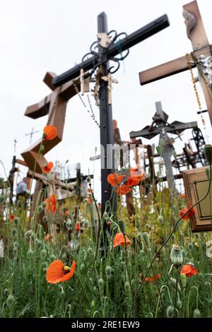 Crucifix et croix sur la « Colline des croix », un lieu de pèlerinage au nord de la ville de Šiauliai, au nord de la Lituanie. Profondeur de champ étroite Banque D'Images