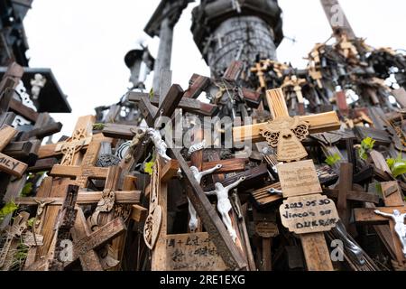 Crucifix et croix sur la « Colline des croix », un lieu de pèlerinage au nord de la ville de Šiauliai, au nord de la Lituanie. Profondeur de champ étroite Banque D'Images