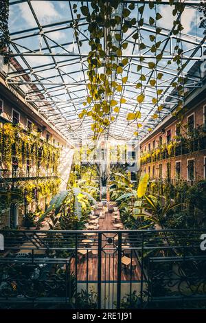 Les cours et arrière-cours célèbres et bien connus dans le quartier juif de Budapest en Hongrie. Typique de l'architecture hongroise dans la ville Banque D'Images