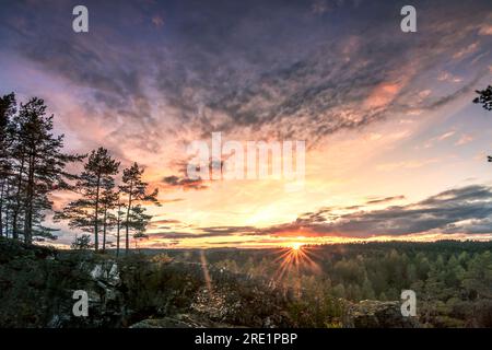 magnifique coucher de soleil sur une carrière en suède. un kifernwald sur une falaise avec un ciel unique et l'éclairage, coucher de soleil sur le lac Banque D'Images