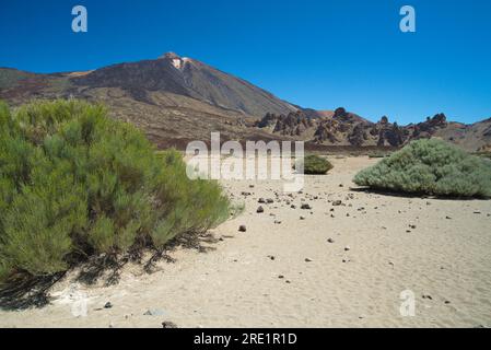 Paisaje Lunar típico de Las Cañadas del Teide. Paysage lunaire typique de Las Cañadas del Teide. Banque D'Images