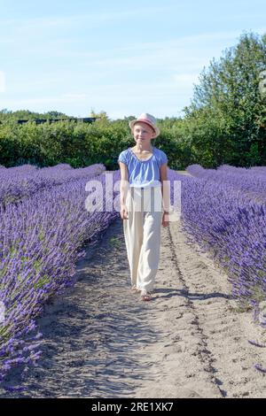 Une adolescente marche à travers un champ de lavande en fleurs. Floraison de lavande par une journée ensoleillée d'été. saison de floraison de lavande Banque D'Images