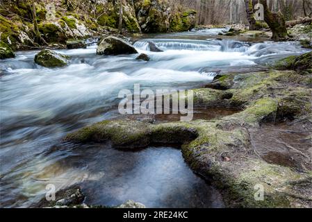 Ruisseau traversant la forêt, longue exposition. Rivière Moravica à travers Lepterija, Soko Banja, Serbie Banque D'Images