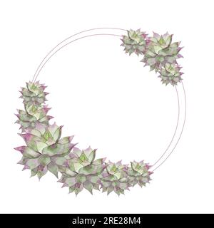 Une couronne de plantes succulentes à fleurs vertes. Plantes de maison mignonnes. Illustration aquarelle de haute qualité Banque D'Images