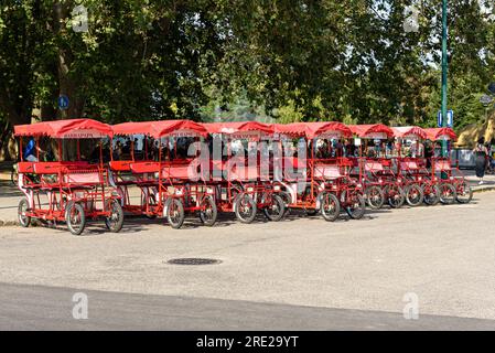 Location de vélos sur Margaret Island à Budapest, Hongrie Banque D'Images