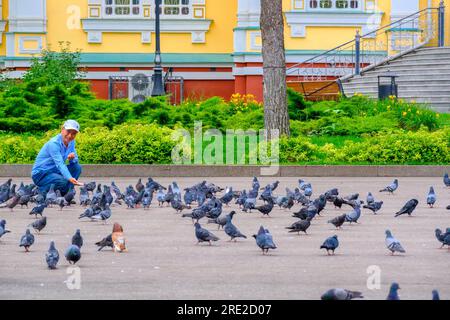 Kazakhstan, Almaty. Cathédrale de l'Ascension, orthodoxe russe, dans le parc des gardes de Panfilov. Homme nourrissant les pigeons. Banque D'Images