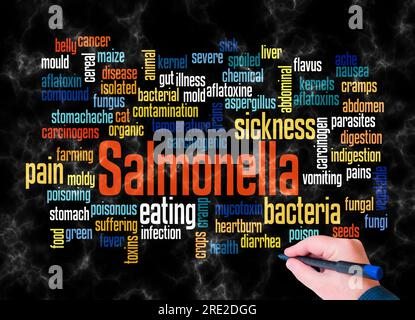 Word Cloud avec SALMONELLA concept créer avec du texte seulement. Banque D'Images